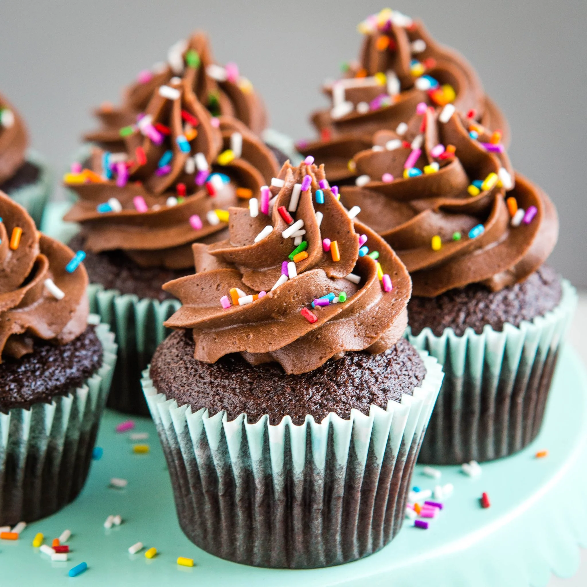 Chocolate Cup Cake